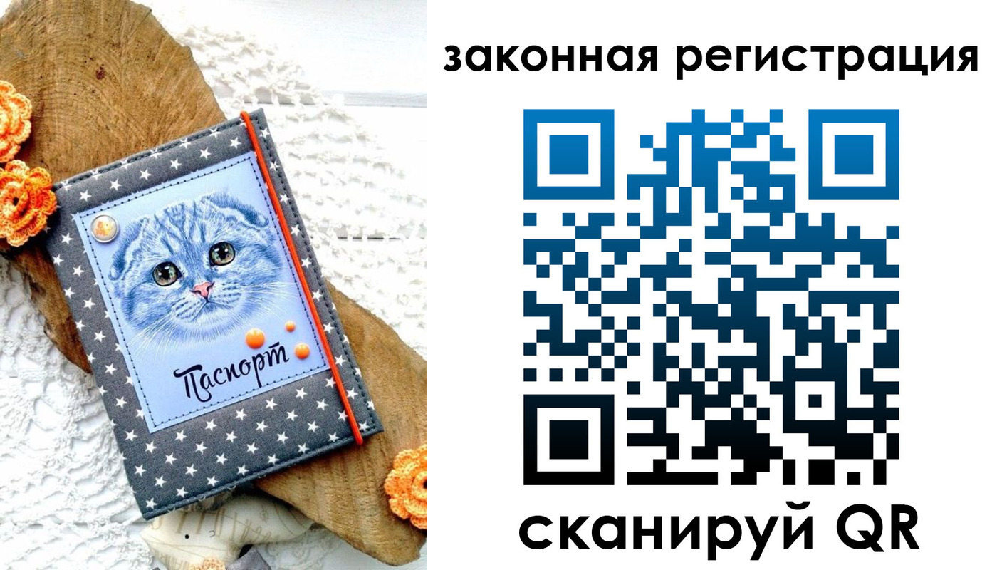 регистрация в Покрове